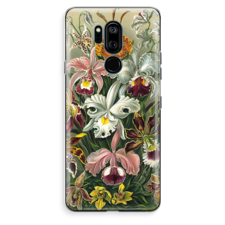 Haeckel Orchidae