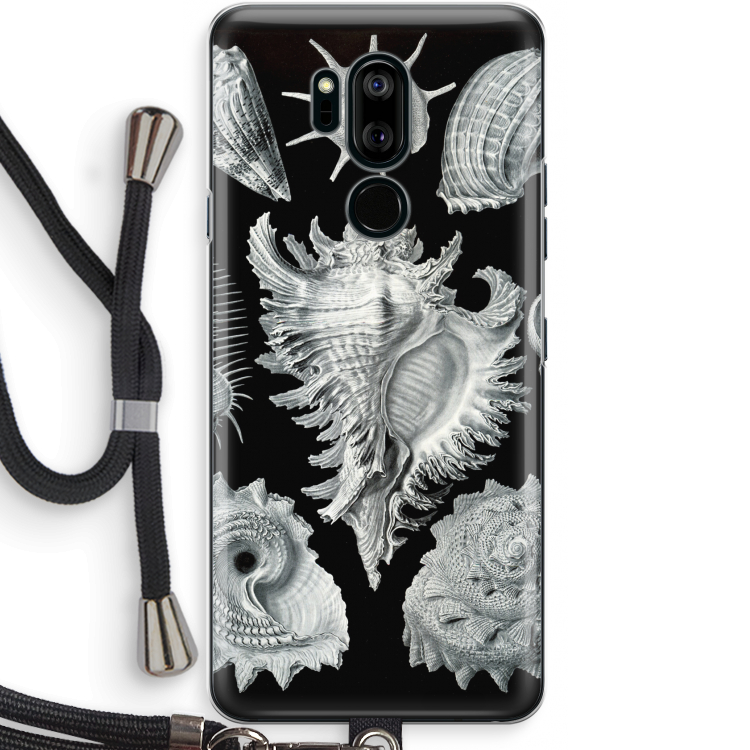 Haeckel Prosobranchia