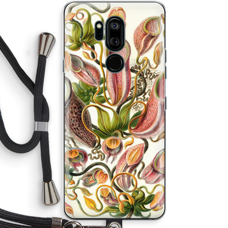 Haeckel Nepenthaceae