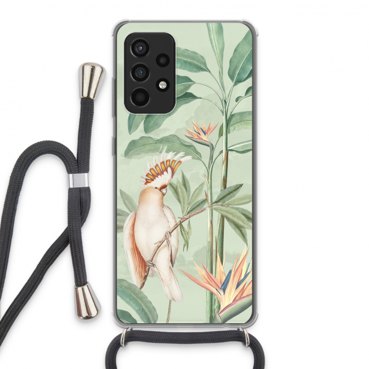 Perroquet tropical