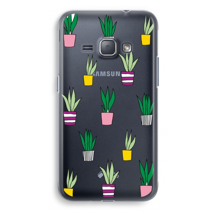 Sanseveria