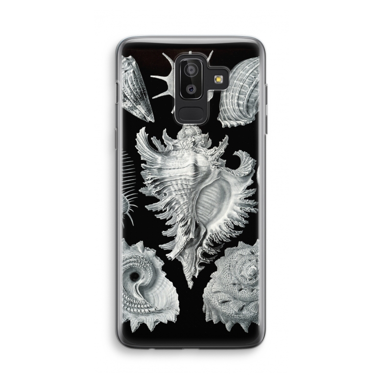 Haeckel Prosobranchia