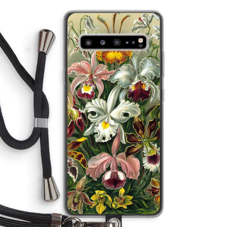Haeckel Orchidae