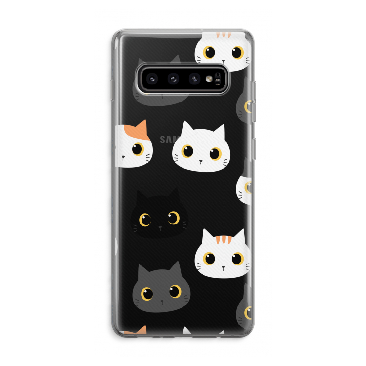 Cats