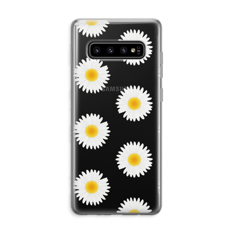 Daisies