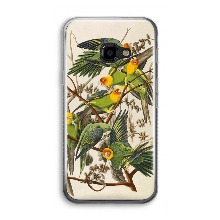 Carolina Parrot