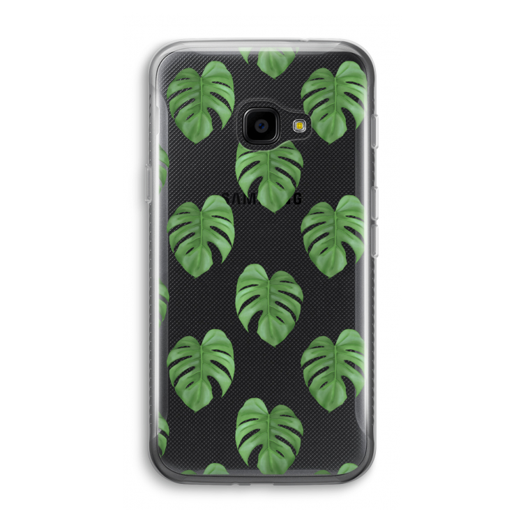 Monstera leaves
