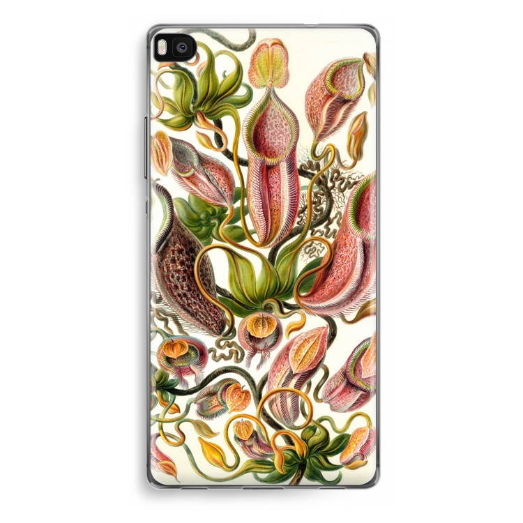 Haeckel Nepenthaceae