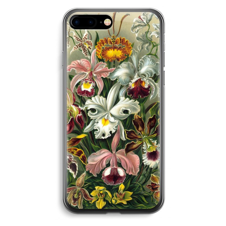 Haeckel Orchidae
