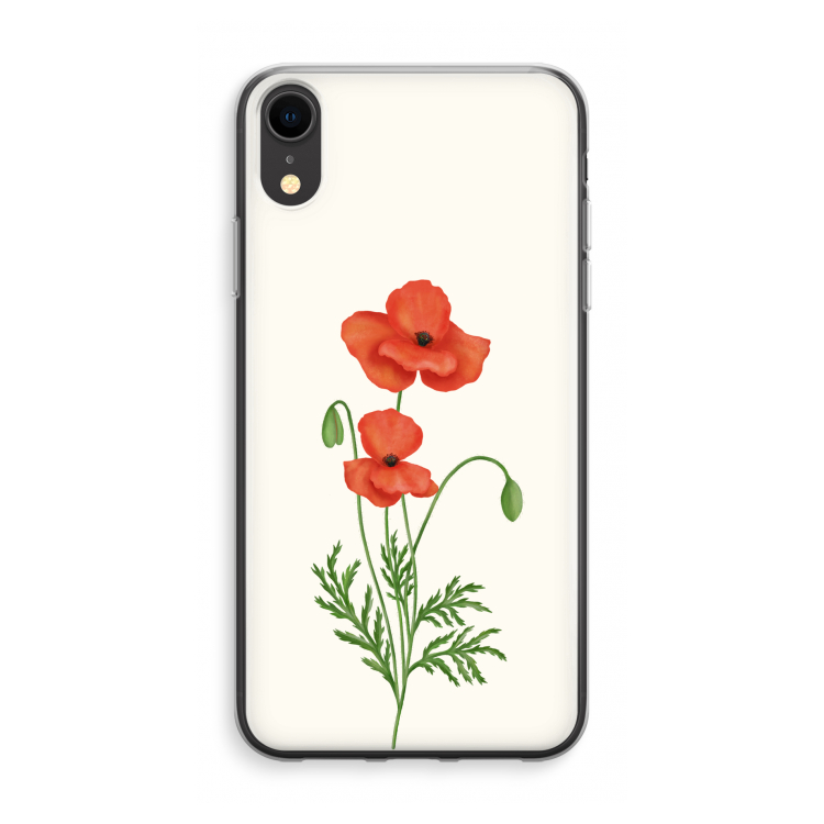 Red poppy