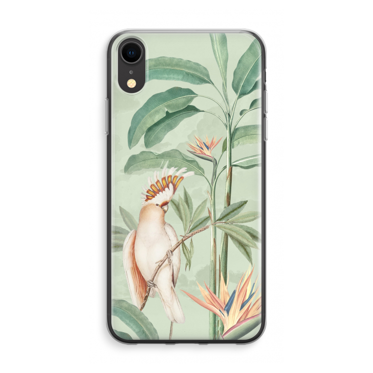 Tropical Parrot