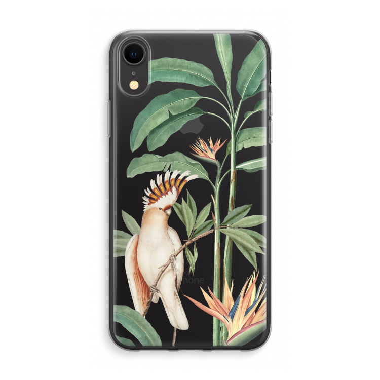 Tropical Parrot