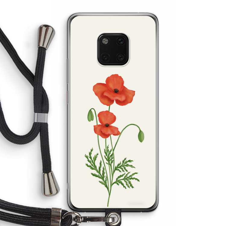 Red poppy