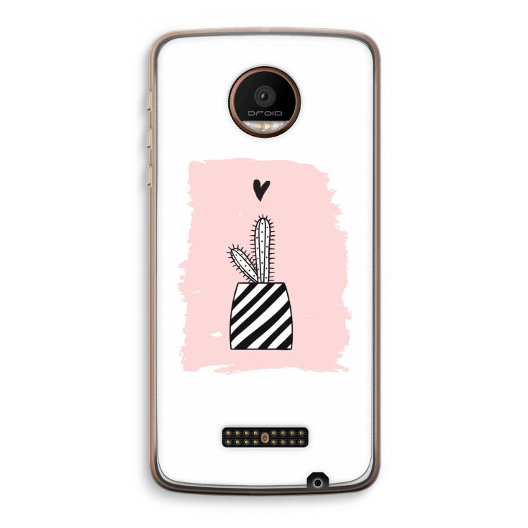 Black and white cactus