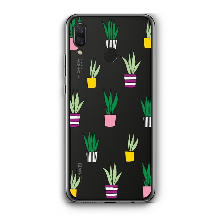 Sanseveria