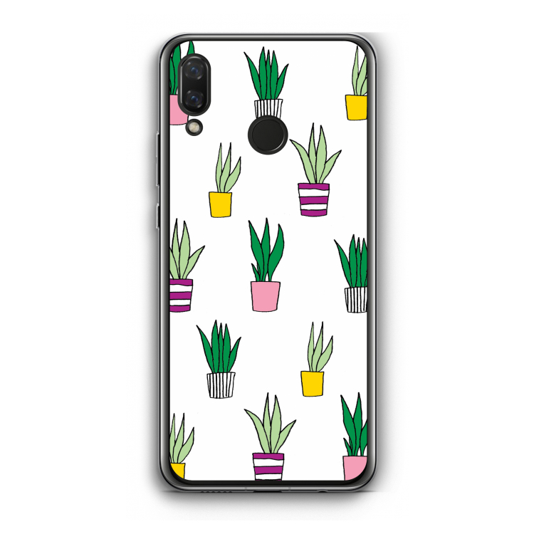 Sanseveria
