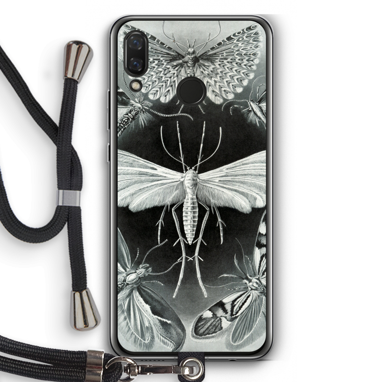 Haeckel Tineida
