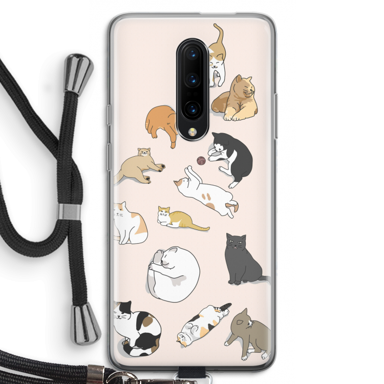 Cats