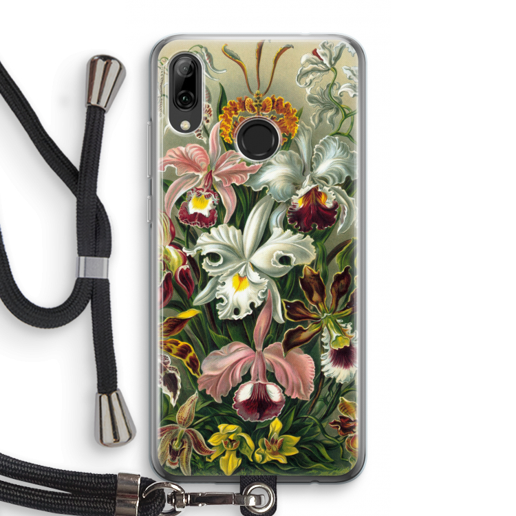 Haeckel Orchidae