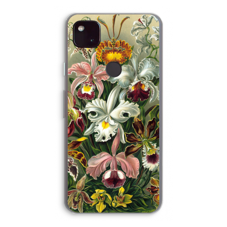 Haeckel Orchidae
