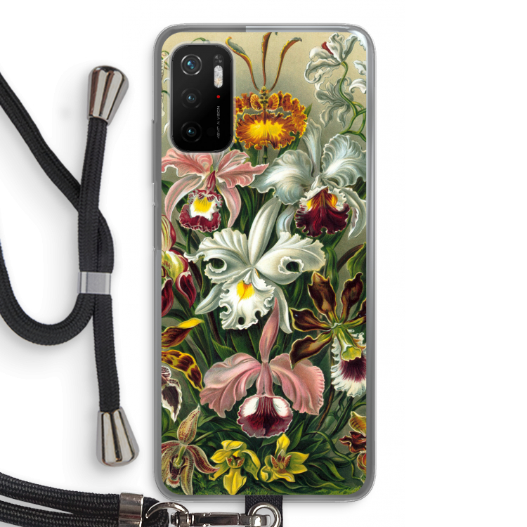 Haeckel Orchidae