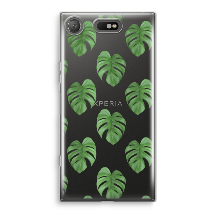 Monstera leaves
