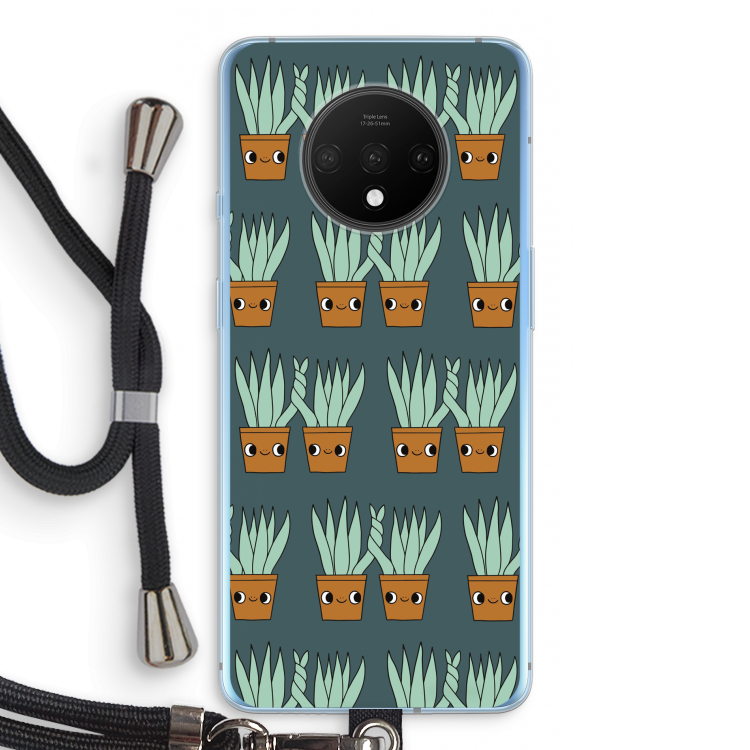 Sansevieria