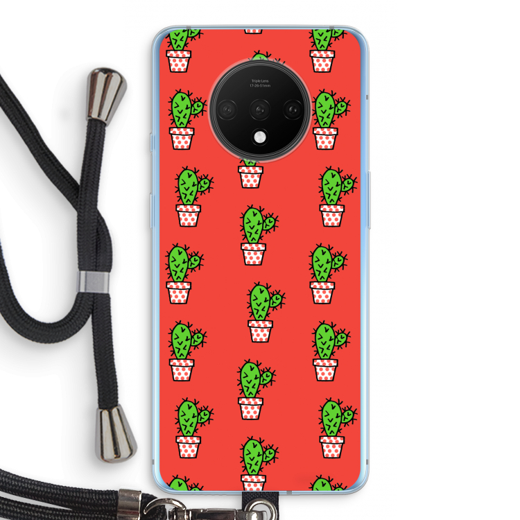 Mini cactus
