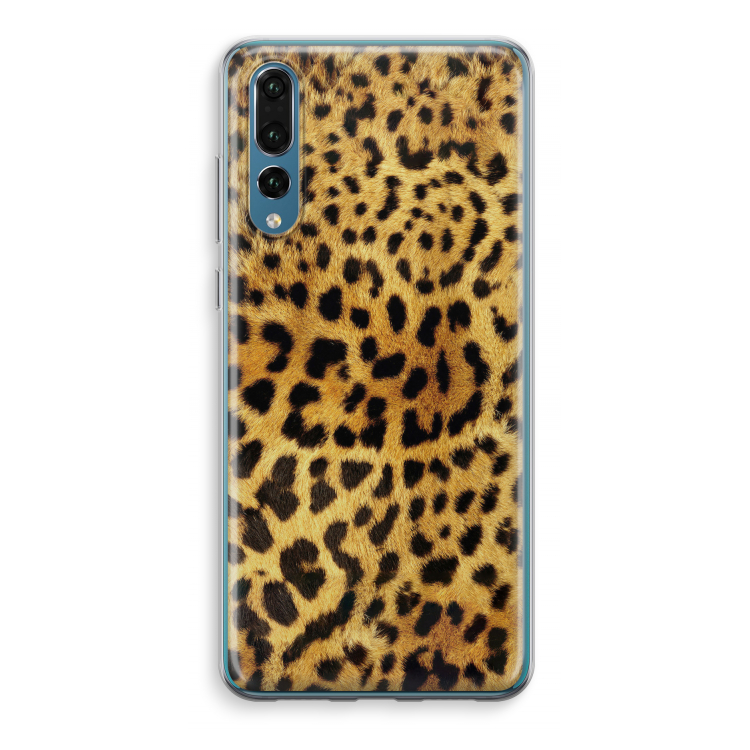Cheetah