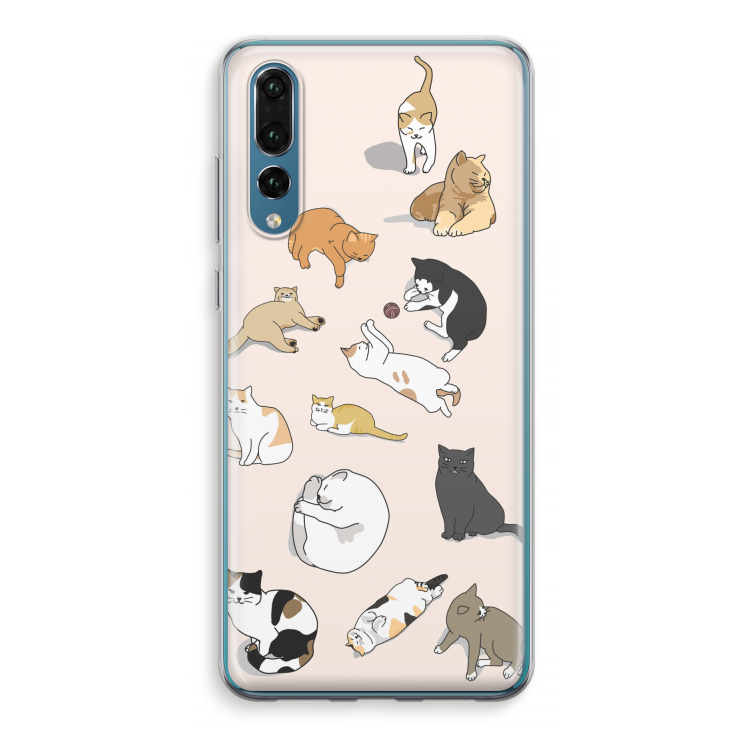Cats