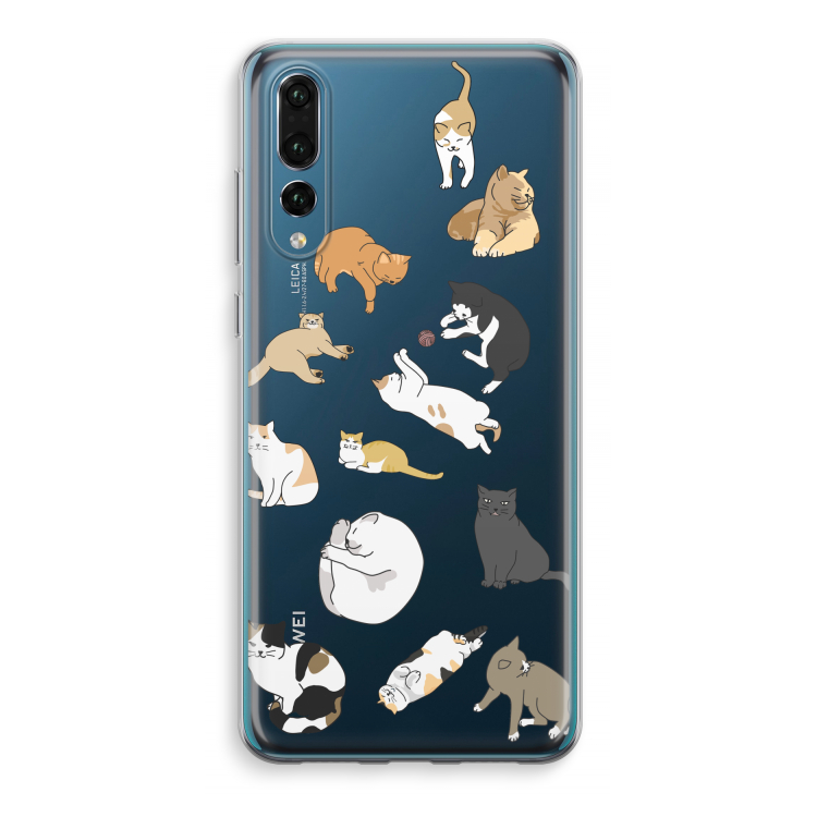 Cats