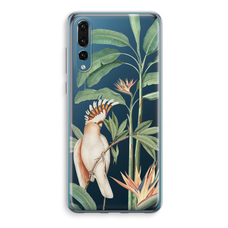 Tropical Parrot