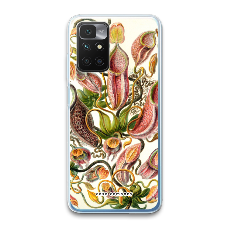 Haeckel Nepenthaceae