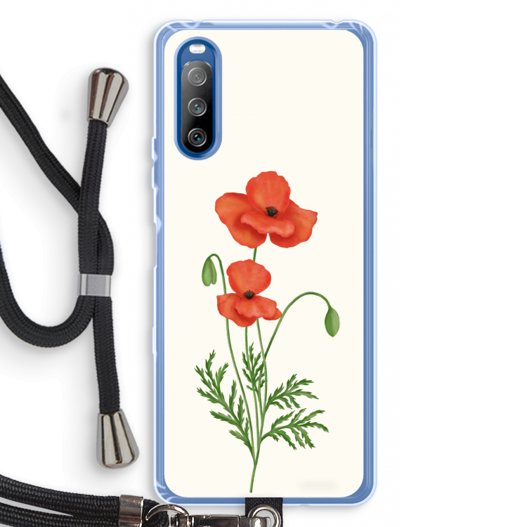 Red poppy