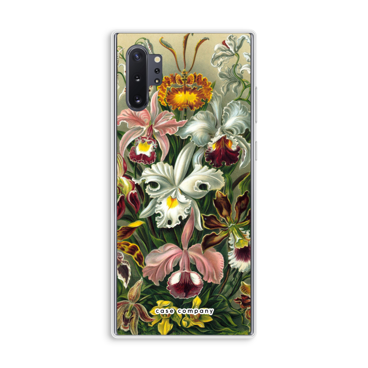 Haeckel Orchidae