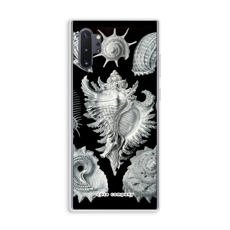 Haeckel Prosobranchia