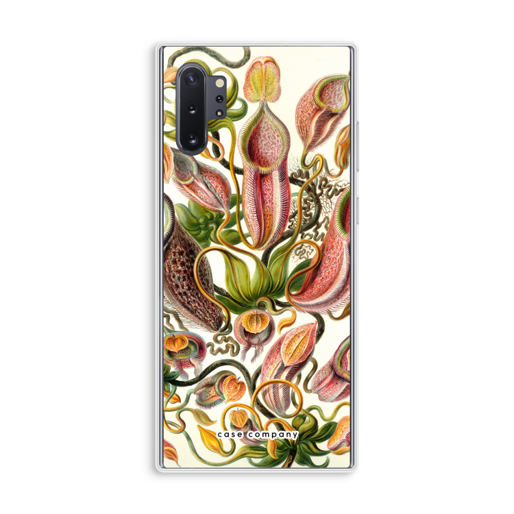 Haeckel Nepenthaceae