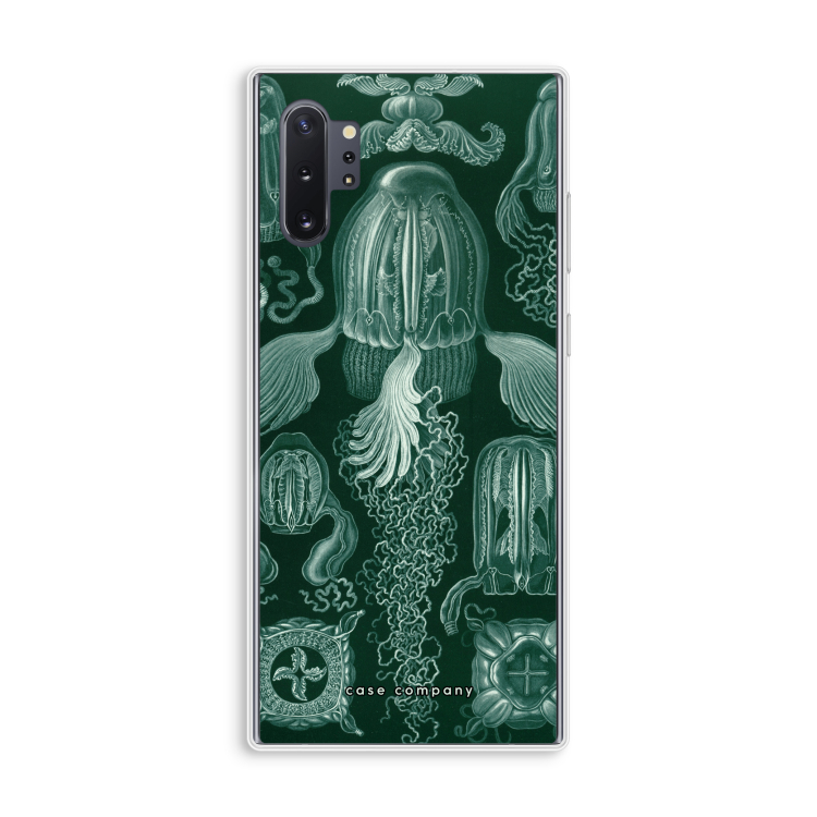 Haeckel Cubomedusae