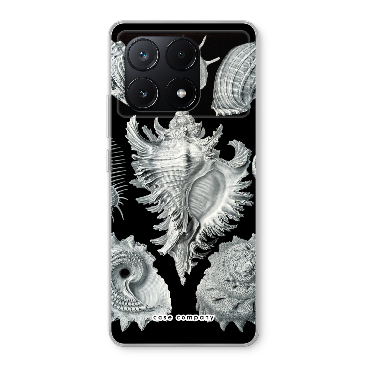Haeckel Prosobranchia