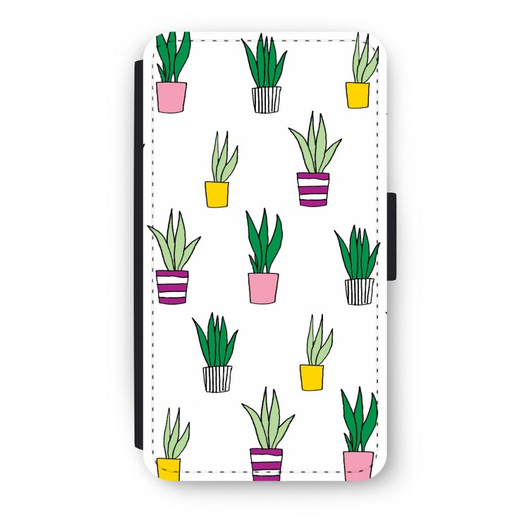 Sanseveria