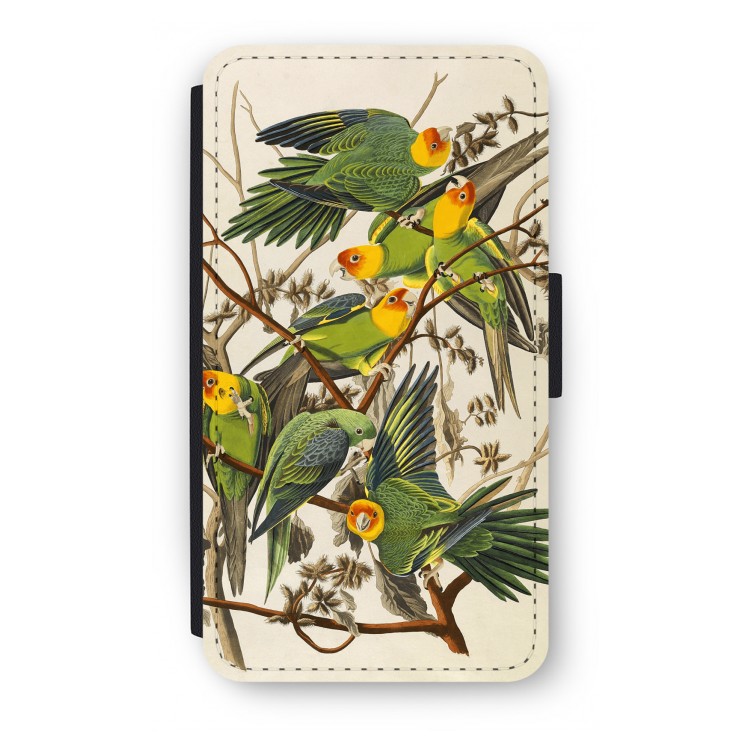 Carolina Parrot