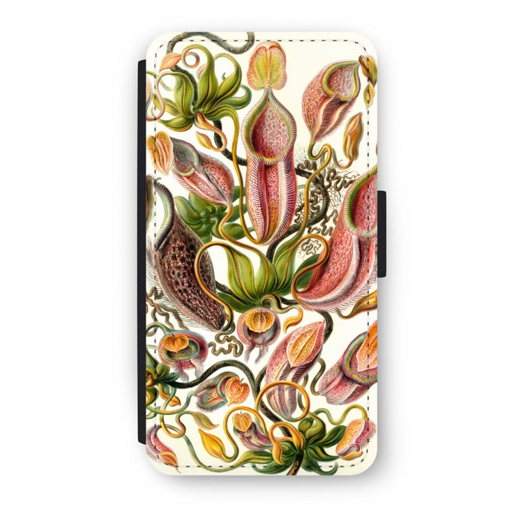 Haeckel Nepenthaceae