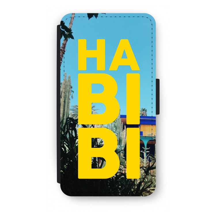 Habibi Majorelle
