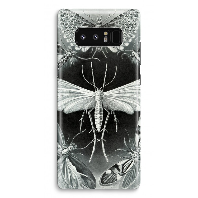 Haeckel Tineida