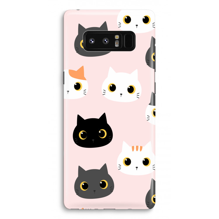 Cats