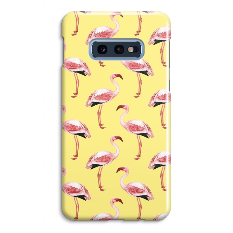 Flamingos yellow