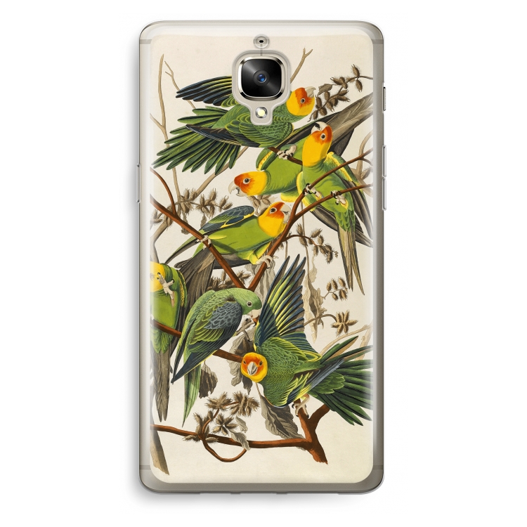 Carolina Parrot