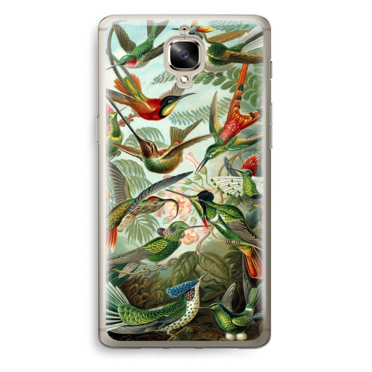 Haeckel Trochilidae