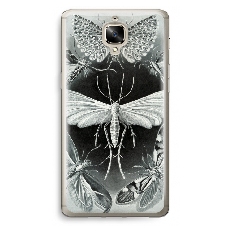 Haeckel Tineida