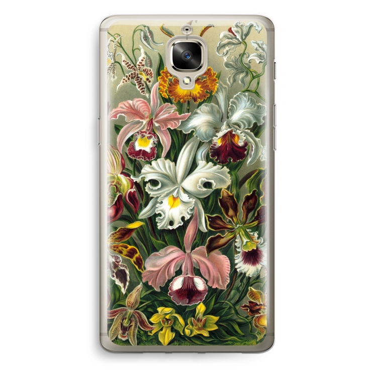 Haeckel Orchidae